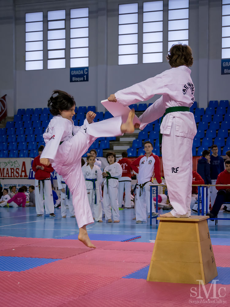 TAEKWONDO CAMPEONATO PAREJAS ABRIL 2018_2030.jpg